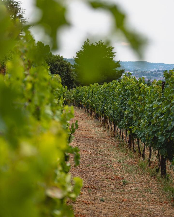 Tenuta Ronco Regio San Fermo della Battaglia Exterior foto